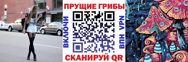 Галлюциногенные грибы Cubensis  сайты даркнета как зайти  Лабинск 